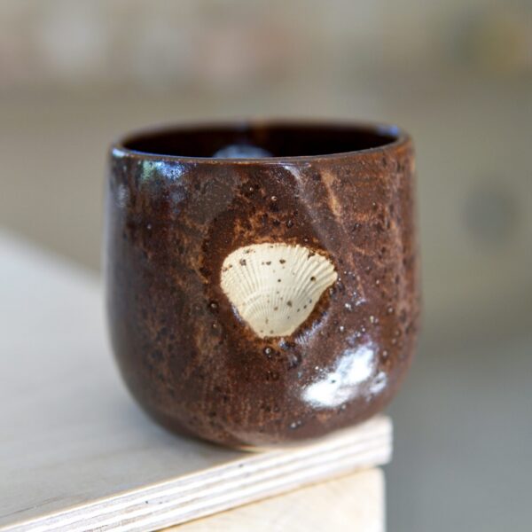 Czarka Brown sugar seashell 1
